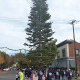 The downtown tree officially begins Lemoore's Christmas season courtesy of the Lemoore Volunteer Fire Department.